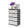 GABRIEL - Kommode / Sideboard mit 4 Schubladen - Anthrazit / Weiß Gloss H92cm B60cm T33cm